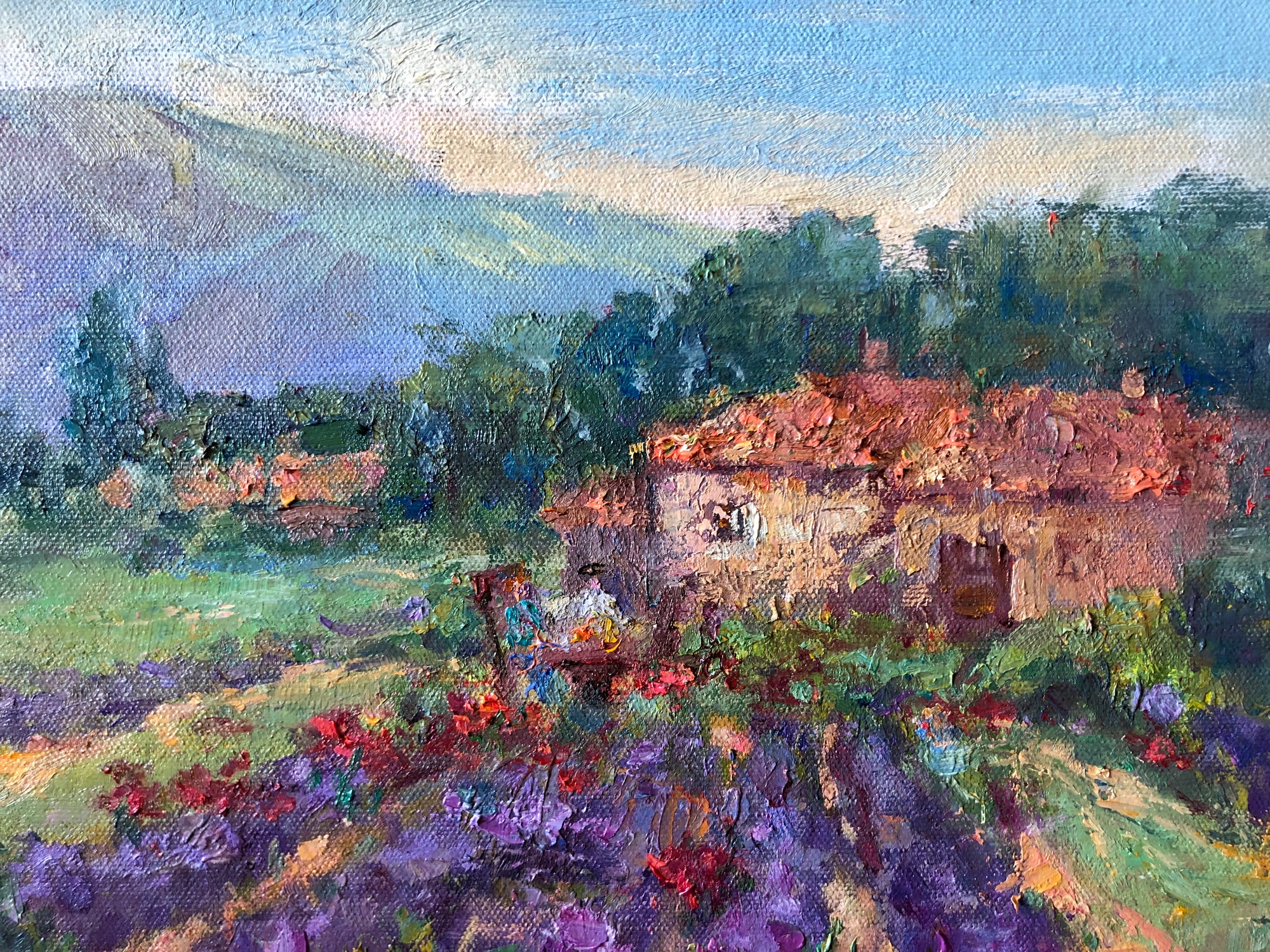 Lavender in Provence